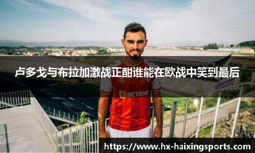 海星体育直播