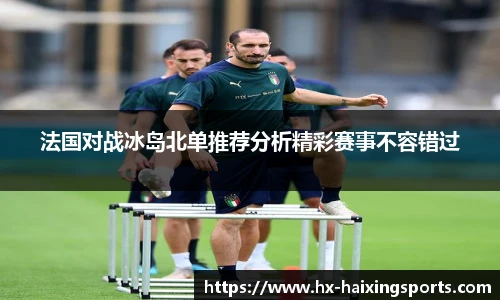 法国对战冰岛北单推荐分析精彩赛事不容错过